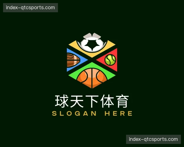 介绍球天下体育